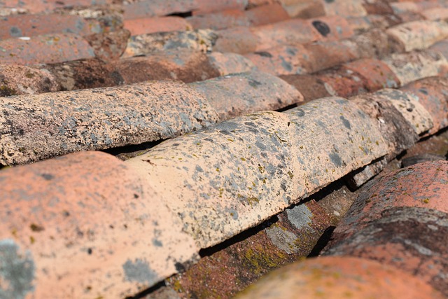 Houston Roof Repair: Swift & Reliable Emergency Services by Local Experts