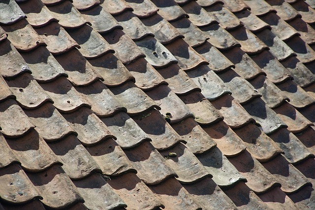 Houston, roof, roof repair