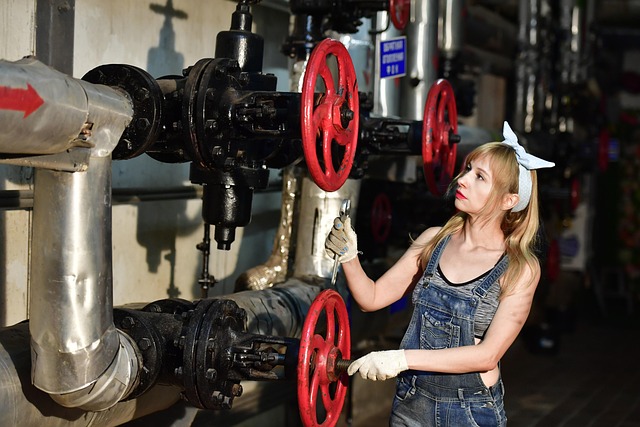 Plumber, plumbing