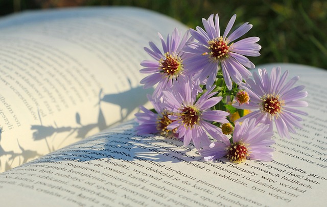 law-books-640x480-6106123.jpeg