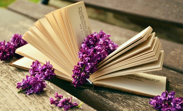law-books-640x480-7099855.jpeg