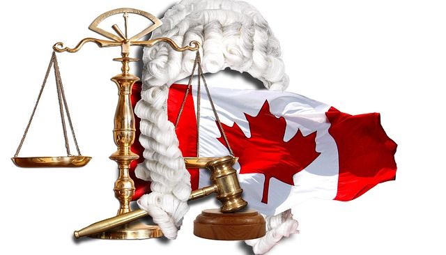 legal consultation
