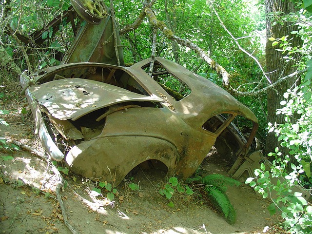 car crash