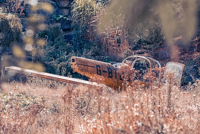 Universal Studios Injury Lawyer Orlando: Navigating Legal Rights After Accidents