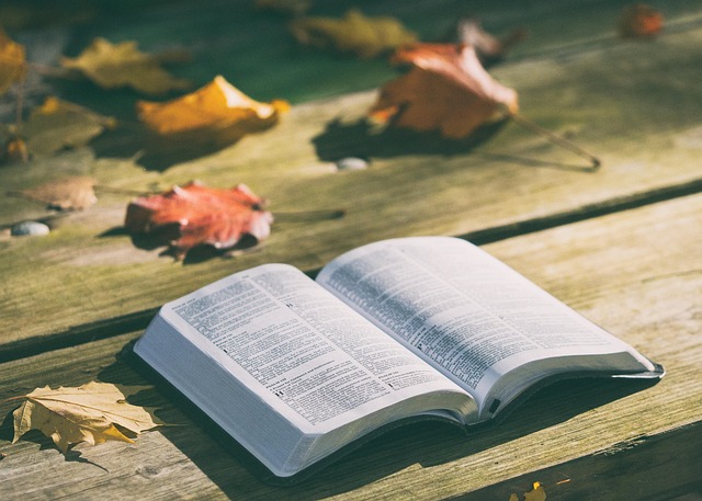 Navigating Complexities: Establishing Causation in Wrongful Death Damages Claims