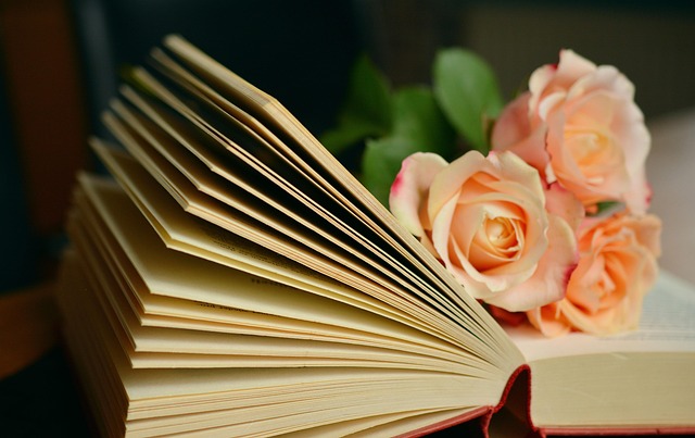 law books