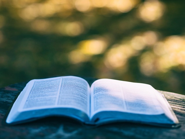 law-books-640x480-34317537.jpeg
