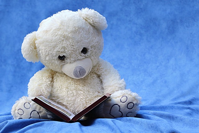 law-books-640x480-5735511.jpeg