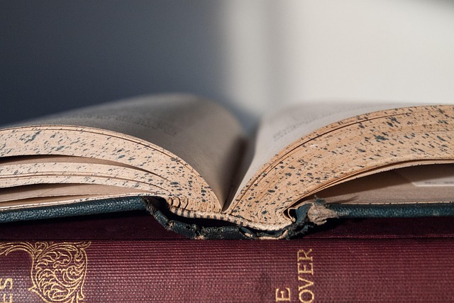 law books