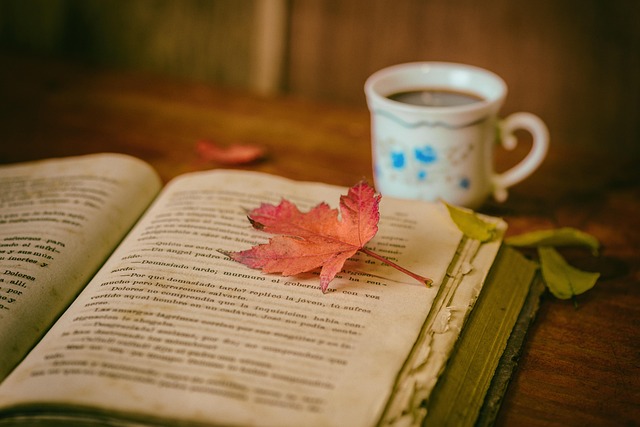 law-books-640x480-74967875.jpeg