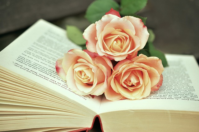 law-books-640x480-93607463.jpeg