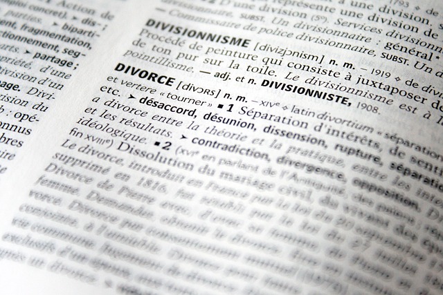 legal consultation