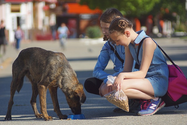 Pedestrian Injury Attorney Trial: Prepare and Expect Success