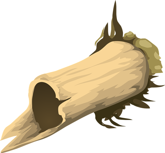 accident-claim-640x480-27716578.png
