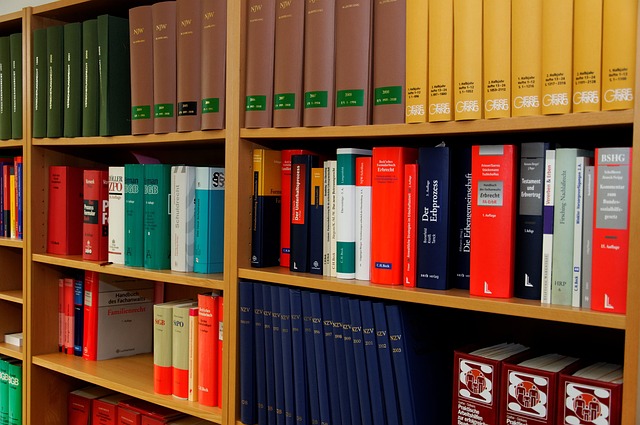 Orlando Neck Injury Lawyer: Guiding Clients Towards Recovery & Compensation