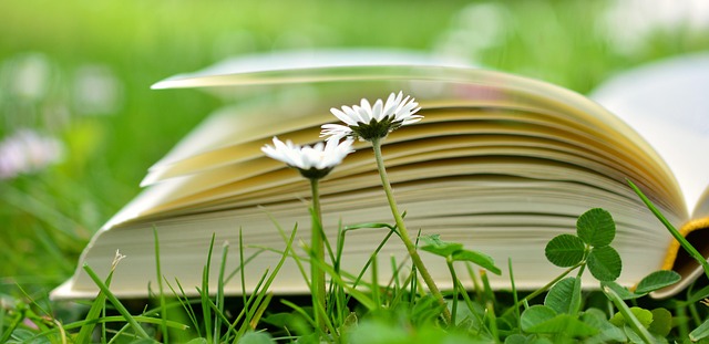 law-books-640x480-27801802.jpeg
