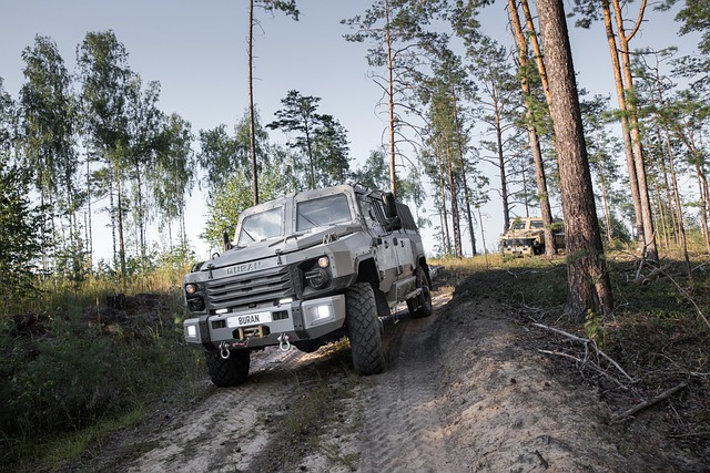 Rear-End Collision Lawyer: Faster Settlements Through Expert Tips