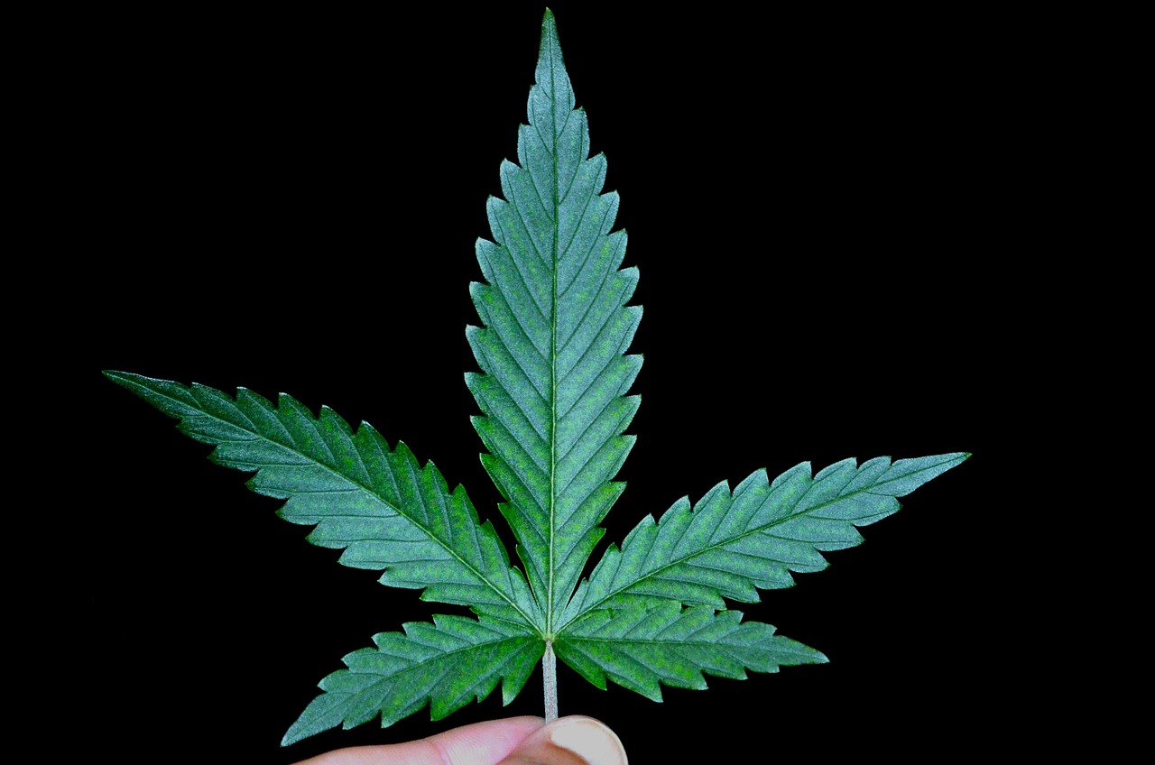 Navigating Los Angeles Marijuana DUI Charges with Legal Expertise