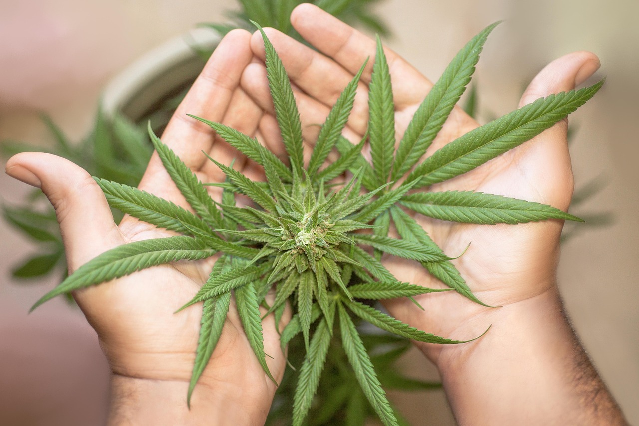 navigating-los-angeles-marijuana-dui-law-640x480-jbjbyd