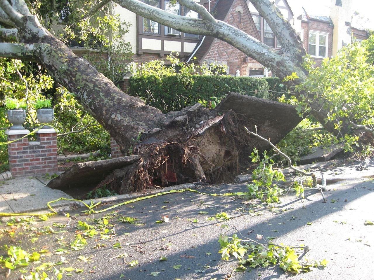 Uncovering Slip And Fall Lawyer Process in Los Angeles