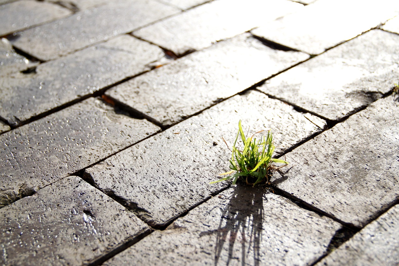 Expertise in Slip and Fall Lawyer Claims: Navigating Compensation